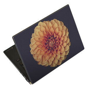 m[gp\R XLV[ XebJ[ \2Zbg \e1Zbg ǂ炩Iׂ NEC LAVIEp N1515 N1530 N1535 N1555 N1565 N1570 N1573 N1575 N1585 N153C N156D N157C LAVIE Smart N15 LAVIE Direct N15