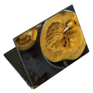 m[gp\R XLV[ XebJ[ \2Zbg \e1Zbg ǂ炩Iׂ NEC LAVIEp N1515 N1530 N1535 N1555 N1565 N1570 N1573 N1575 N1585 N153C N156D N157C LAVIE Smart N15 LAVIE Direct N15