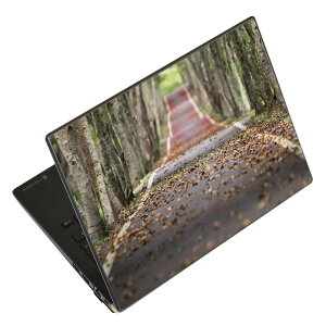 m[gp\R XLV[ XebJ[ \2Zbg \e1Zbg ǂ炩Iׂ NEC LAVIEp N1515 N1530 N1535 N1555 N1565 N1570 N1573 N1575 N1585 N153C N156D N157C LAVIE Smart N15 LAVIE Direct N15