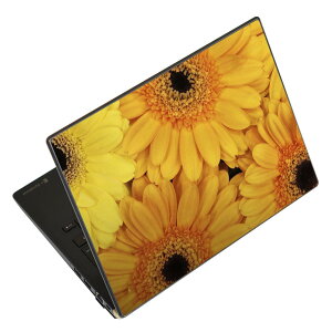 �m�[�g�p�\�R�� �X�L���V�[�� 13.3�C���`�܂őΉ� �ėp�X�e�b�J�[ 2���Z�b�g LAVIE�p FMV�p LIFEBOOK�p Dynabook�p Lenovo�p Thinkbook�p IdeaPad�p HP�p Pavillon�p ENVY�p Elite�p Dell�p Vostro�p Inspiron�p VAIO�p 022918