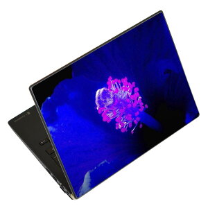 m[gp\R XLV[ XebJ[ \2Zbg \e1Zbg ǂ炩Iׂ NEC LAVIEp N1515 N1530 N1535 N1555 N1565 N1570 N1573 N1575 N1585 N153C N156D N157C LAVIE Smart N15 LAVIE Direct N15