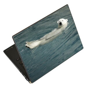 m[gp\R XLV[ XebJ[ \2Zbg \e1Zbg ǂ炩Iׂ NEC LAVIEp N1515 N1530 N1535 N1555 N1565 N1570 N1573 N1575 N1585 N153C N156D N157C LAVIE Smart N15 LAVIE Direct N15