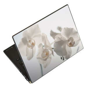 m[gp\R XLV[ XebJ[ \2Zbg \e1Zbg ǂ炩Iׂ NEC LAVIEp N1515 N1530 N1535 N1555 N1565 N1570 N1573 N1575 N1585 N153C N156D N157C LAVIE Smart N15 LAVIE Direct N15