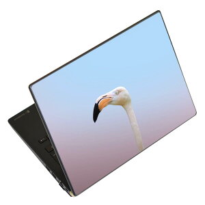 m[gp\R XLV[ XebJ[ \2Zbg \e1Zbg ǂ炩Iׂ NEC LAVIEp N1515 N1530 N1535 N1555 N1565 N1570 N1573 N1575 N1585 N153C N156D N157C LAVIE Smart N15 LAVIE Direct N15