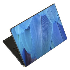 m[gp\R XLV[ XebJ[ \2Zbg \e1Zbg ǂ炩Iׂ NEC LAVIEp N1515 N1530 N1535 N1555 N1565 N1570 N1573 N1575 N1585 N153C N156D N157C LAVIE Smart N15 LAVIE Direct N15