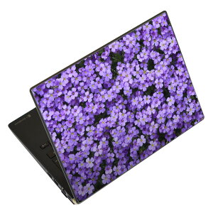 �m�[�g�p�\�R�� �X�L���V�[�� �X�e�b�J�[ �\��2���Z�b�g �\���e1���Z�b�g �ǂ��炩�I�ׂ� NEC LAVIE�p N1515 N1530 N1535 N1555 N1565 N1570 N1573 N1575 N1585 N153C N156D N157C LAVIE Smart N15 LAVIE Direct N15