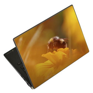 m[gp\R XLV[ XebJ[ \2Zbg \e1Zbg ǂ炩Iׂ NEC LAVIEp N1515 N1530 N1535 N1555 N1565 N1570 N1573 N1575 N1585 N153C N156D N157C LAVIE Smart N15 LAVIE Direct N15