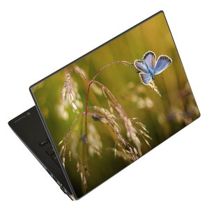 m[gp\R XLV[ XebJ[ \2Zbg \e1Zbg ǂ炩Iׂ NEC LAVIEp N1515 N1530 N1535 N1555 N1565 N1570 N1573 N1575 N1585 N153C N156D N157C LAVIE Smart N15 LAVIE Direct N15