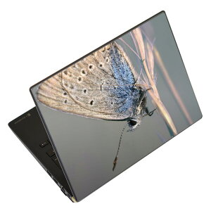 m[gp\R XLV[ XebJ[ \2Zbg \e1Zbg ǂ炩Iׂ NEC LAVIEp N1515 N1530 N1535 N1555 N1565 N1570 N1573 N1575 N1585 N153C N156D N157C LAVIE Smart N15 LAVIE Direct N15