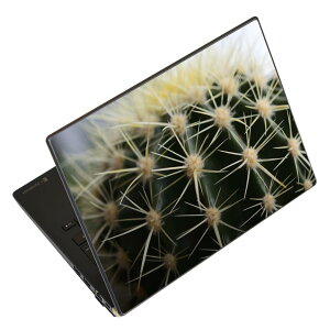 m[gp\R XLV[ XebJ[ \2Zbg \e1Zbg ǂ炩Iׂ NEC LAVIEp N1515 N1530 N1535 N1555 N1565 N1570 N1573 N1575 N1585 N153C N156D N157C LAVIE Smart N15 LAVIE Direct N15