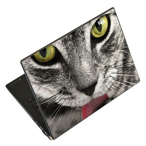 �m�[�g�p�\�R�� �X�L���V�[�� �X�e�b�J�[ �\��2���Z�b�g �\���e1���Z�b�g �ǂ��炩�I�ׂ� NEC LAVIE�p N1515 N1530 N1535 N1555 N1565 N1570 N1573 N1575 N1585 N153C N156D N157C LAVIE Smart N15 LAVIE Direct N15