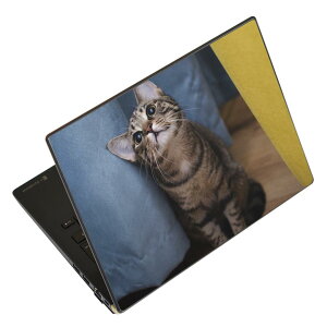 m[gp\R XLV[ XebJ[ \2Zbg \e1Zbg ǂ炩Iׂ NEC LAVIEp N1515 N1530 N1535 N1555 N1565 N1570 N1573 N1575 N1585 N153C N156D N157C LAVIE Smart N15 LAVIE Direct N15