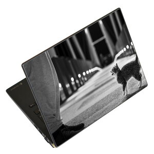 m[gp\R XLV[ XebJ[ \2Zbg \e1Zbg ǂ炩Iׂ NEC LAVIEp N1515 N1530 N1535 N1555 N1565 N1570 N1573 N1575 N1585 N153C N156D N157C LAVIE Smart N15 LAVIE Direct N15