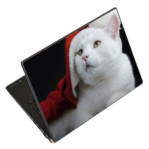 m[gp\R XLV[ XebJ[ \2Zbg \e1Zbg ǂ炩Iׂ NEC LAVIEp N1515 N1530 N1535 N1555 N1565 N1570 N1573 N1575 N1585 N153C N156D N157C LAVIE Smart N15 LAVIE Direct N15