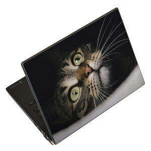 m[gp\R XLV[ XebJ[ \2Zbg \e1Zbg ǂ炩Iׂ NEC LAVIEp N1515 N1530 N1535 N1555 N1565 N1570 N1573 N1575 N1585 N153C N156D N157C LAVIE Smart N15 LAVIE Direct N15