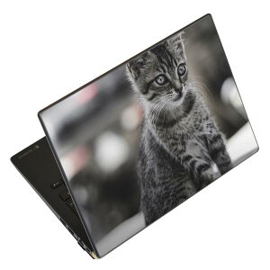 m[gp\R XLV[ XebJ[ \2Zbg \e1Zbg ǂ炩Iׂ NEC LAVIEp N1515 N1530 N1535 N1555 N1565 N1570 N1573 N1575 N1585 N153C N156D N157C LAVIE Smart N15 LAVIE Direct N15