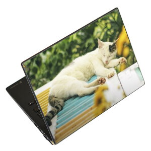 m[gp\R XLV[ XebJ[ \2Zbg \e1Zbg ǂ炩Iׂ NEC LAVIEp N1515 N1530 N1535 N1555 N1565 N1570 N1573 N1575 N1585 N153C N156D N157C LAVIE Smart N15 LAVIE Direct N15