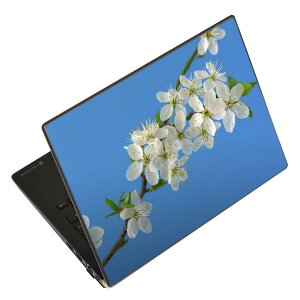 �m�[�g�p�\�R�� �X�L���V�[�� �X�e�b�J�[ �\��2���Z�b�g �\���e1���Z�b�g �ǂ��炩�I�ׂ� NEC LAVIE�p N1515 N1530 N1535 N1555 N1565 N1570 N1573 N1575 N1585 N153C N156D N157C LAVIE Smart N15 LAVIE Direct N15