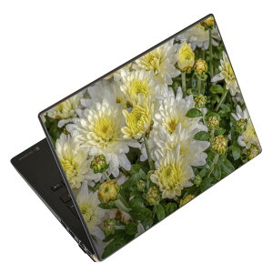 m[gp\R XLV[ XebJ[ \2Zbg \e1Zbg ǂ炩Iׂ NEC LAVIEp N1515 N1530 N1535 N1555 N1565 N1570 N1573 N1575 N1585 N153C N156D N157C LAVIE Smart N15 LAVIE Direct N15