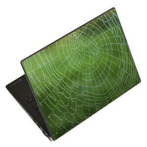 m[gp\R XLV[ XebJ[ \2Zbg \e1Zbg ǂ炩Iׂ NEC LAVIEp N1515 N1530 N1535 N1555 N1565 N1570 N1573 N1575 N1585 N153C N156D N157C LAVIE Smart N15 LAVIE Direct N15