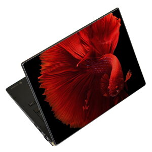 m[gp\R XLV[ XebJ[ \2Zbg \e1Zbg ǂ炩Iׂ NEC LAVIEp N1515 N1530 N1535 N1555 N1565 N1570 N1573 N1575 N1585 N153C N156D N157C LAVIE Smart N15 LAVIE Direct N15