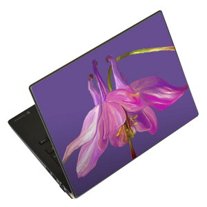 �m�[�g�p�\�R�� �X�L���V�[�� �X�e�b�J�[ �\��2���Z�b�g �\���e1���Z�b�g �ǂ��炩�I�ׂ� NEC LAVIE�p N1515 N1530 N1535 N1555 N1565 N1570 N1573 N1575 N1585 N153C N156D N157C LAVIE Smart N15 LAVIE Direct N15