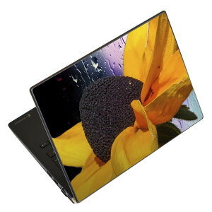 m[gp\R XLV[ 17C`܂őΉ ėpXebJ[ 2Zbg LAVIEp FMVp LIFEBOOKp Dynabookp Lenovop Thinkbookp IdeaPadp HPp Pavillonp ENVYp Elitep Dellp Vostrop Inspironp VAIOp 023161 