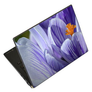 m[gp\R XLV[ XebJ[ \2Zbg \e1Zbg ǂ炩Iׂ NEC LAVIEp N1515 N1530 N1535 N1555 N1565 N1570 N1573 N1575 N1585 N153C N156D N157C LAVIE Smart N15 LAVIE Direct N15