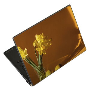 m[gp\R XLV[ XebJ[ \2Zbg \e1Zbg ǂ炩Iׂ NEC LAVIEp N1515 N1530 N1535 N1555 N1565 N1570 N1573 N1575 N1585 N153C N156D N157C LAVIE Smart N15 LAVIE Direct N15