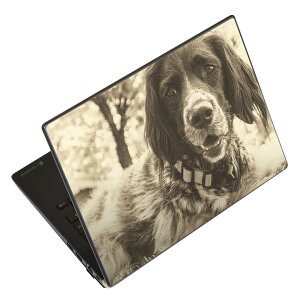 ノートパソコン スキンシール 17インチまで対応 汎用ステッカー 2枚セット LAVIE用 FMV用 LIFEBOOK用 Dynabook用 Lenovo用 Thinkbook用 IdeaPad用 HP用 Pavillon用 ENVY用 Elite用 Dell用 Vostro用 Inspiron用 VAIO用 023215