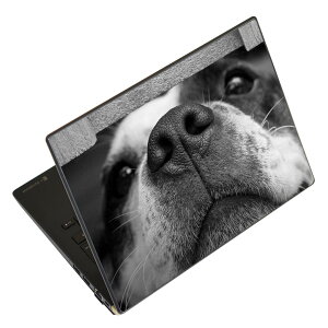 m[gp\R XLV[ 17C`܂őΉ ėpXebJ[ 2Zbg LAVIEp FMVp LIFEBOOKp Dynabookp Lenovop Thinkbookp IdeaPadp HPp Pavillonp ENVYp Elitep Dellp Vostrop Inspironp VAIOp 023216 