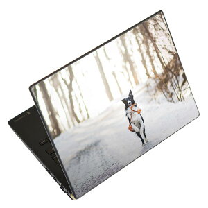 m[gp\R XLV[ XebJ[ \2Zbg \e1Zbg ǂ炩Iׂ NEC LAVIEp N1515 N1530 N1535 N1555 N1565 N1570 N1573 N1575 N1585 N153C N156D N157C LAVIE Smart N15 LAVIE Direct N15