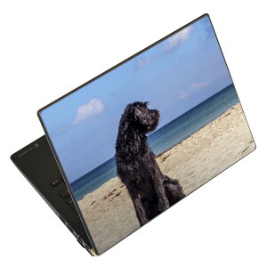 m[gp\R XLV[ XebJ[ \2Zbg \e1Zbg ǂ炩Iׂ NEC LAVIEp N1515 N1530 N1535 N1555 N1565 N1570 N1573 N1575 N1585 N153C N156D N157C LAVIE Smart N15 LAVIE Direct N15