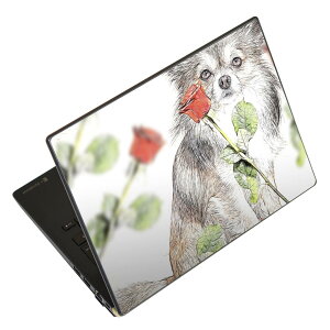 m[gp\R XLV[ XebJ[ \2Zbg \e1Zbg ǂ炩Iׂ NEC LAVIEp N1515 N1530 N1535 N1555 N1565 N1570 N1573 N1575 N1585 N153C N156D N157C LAVIE Smart N15 LAVIE Direct N15