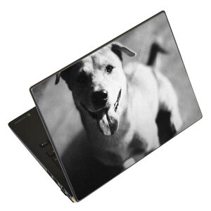 m[gp\R XLV[ XebJ[ \2Zbg \e1Zbg ǂ炩Iׂ NEC LAVIEp N1515 N1530 N1535 N1555 N1565 N1570 N1573 N1575 N1585 N153C N156D N157C LAVIE Smart N15 LAVIE Direct N15