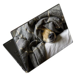 �m�[�g�p�\�R�� �X�L���V�[�� �X�e�b�J�[ �\��2���Z�b�g �\���e1���Z�b�g �ǂ��炩�I�ׂ� NEC LAVIE�p N1515 N1530 N1535 N1555 N1565 N1570 N1573 N1575 N1585 N153C N156D N157C LAVIE Smart N15 LAVIE Direct N15