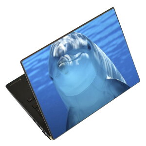 m[gp\R XLV[ XebJ[ \2Zbg \e1Zbg ǂ炩Iׂ NEC LAVIEp N1515 N1530 N1535 N1555 N1565 N1570 N1573 N1575 N1585 N153C N156D N157C LAVIE Smart N15 LAVIE Direct N15
