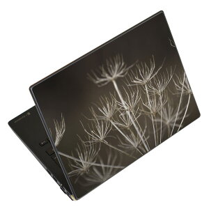 �m�[�g�p�\�R�� �X�L���V�[�� �X�e�b�J�[ �\��2���Z�b�g �\���e1���Z�b�g �ǂ��炩�I�ׂ� NEC LAVIE�p N1515 N1530 N1535 N1555 N1565 N1570 N1573 N1575 N1585 N153C N156D N157C LAVIE Smart N15 LAVIE Direct N15