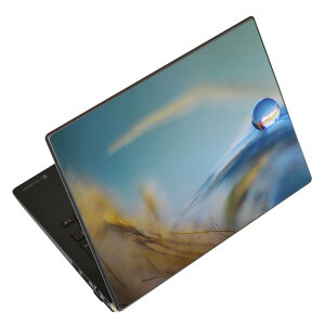 �m�[�g�p�\�R�� �X�L���V�[�� �X�e�b�J�[ �\��2���Z�b�g �\���e1���Z�b�g �ǂ��炩�I�ׂ� NEC LAVIE�p N1515 N1530 N1535 N1555 N1565 N1570 N1573 N1575 N1585 N153C N156D N157C LAVIE Smart N15 LAVIE Direct N15