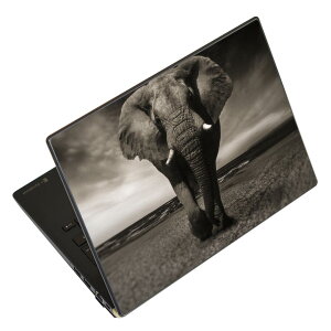 m[gp\R XLV[ 13.3C`܂őΉ ėpXebJ[ 2Zbg LAVIEp FMVp LIFEBOOKp Dynabookp Lenovop Thinkbookp IdeaPadp HPp Pavillonp ENVYp Elitep Dellp Vostrop Inspironp VAIOp 023246