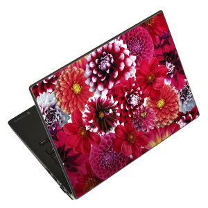 m[gp\R XLV[ XebJ[ \2Zbg \e1Zbg ǂ炩Iׂ NEC LAVIEp N1515 N1530 N1535 N1555 N1565 N1570 N1573 N1575 N1585 N153C N156D N157C LAVIE Smart N15 LAVIE Direct N15