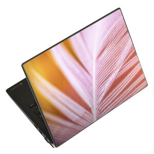 m[gp\R XLV[ XebJ[ \2Zbg \e1Zbg ǂ炩Iׂ NEC LAVIEp N1515 N1530 N1535 N1555 N1565 N1570 N1573 N1575 N1585 N153C N156D N157C LAVIE Smart N15 LAVIE Direct N15