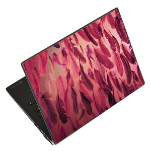 �m�[�g�p�\�R�� �X�L���V�[�� �X�e�b�J�[ �\��2���Z�b�g �\���e1���Z�b�g �ǂ��炩�I�ׂ� NEC LAVIE�p N1515 N1530 N1535 N1555 N1565 N1570 N1573 N1575 N1585 N153C N156D N157C LAVIE Smart N15 LAVIE Direct N15