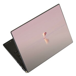 m[gp\R XLV[ XebJ[ \2Zbg \e1Zbg ǂ炩Iׂ NEC LAVIEp N1515 N1530 N1535 N1555 N1565 N1570 N1573 N1575 N1585 N153C N156D N157C LAVIE Smart N15 LAVIE Direct N15