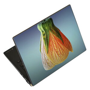 m[gp\R XLV[ XebJ[ \2Zbg \e1Zbg ǂ炩Iׂ NEC LAVIEp N1515 N1530 N1535 N1555 N1565 N1570 N1573 N1575 N1585 N153C N156D N157C LAVIE Smart N15 LAVIE Direct N15