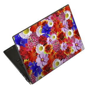 m[gp\R XLV[ XebJ[ \2Zbg \e1Zbg ǂ炩Iׂ NEC LAVIEp N1515 N1530 N1535 N1555 N1565 N1570 N1573 N1575 N1585 N153C N156D N157C LAVIE Smart N15 LAVIE Direct N15