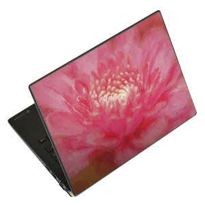 �m�[�g�p�\�R�� �X�L���V�[�� �X�e�b�J�[ �\��2���Z�b�g �\���e1���Z�b�g �ǂ��炩�I�ׂ� NEC LAVIE�p N1515 N1530 N1535 N1555 N1565 N1570 N1573 N1575 N1585 N153C N156D N157C LAVIE Smart N15 LAVIE Direct N15