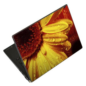 m[gp\R XLV[ XebJ[ \2Zbg \e1Zbg ǂ炩Iׂ NEC LAVIEp N1515 N1530 N1535 N1555 N1565 N1570 N1573 N1575 N1585 N153C N156D N157C LAVIE Smart N15 LAVIE Direct N15