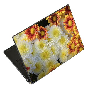 �m�[�g�p�\�R�� �X�L���V�[�� �X�e�b�J�[ �\��2���Z�b�g �\���e1���Z�b�g �ǂ��炩�I�ׂ� NEC LAVIE�p N1515 N1530 N1535 N1555 N1565 N1570 N1573 N1575 N1585 N153C N156D N157C LAVIE Smart N15 LAVIE Direct N15