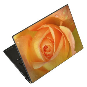 m[gp\R XLV[ XebJ[ \2Zbg \e1Zbg ǂ炩Iׂ NEC LAVIEp N1515 N1530 N1535 N1555 N1565 N1570 N1573 N1575 N1585 N153C N156D N157C LAVIE Smart N15 LAVIE Direct N15